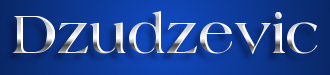 Dzudzevic Logo